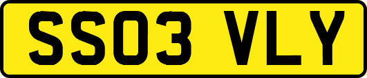 SS03VLY