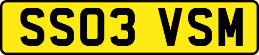 SS03VSM