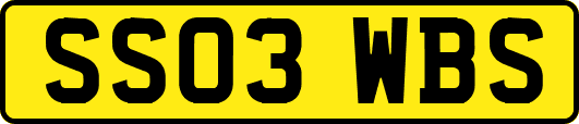SS03WBS