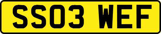 SS03WEF