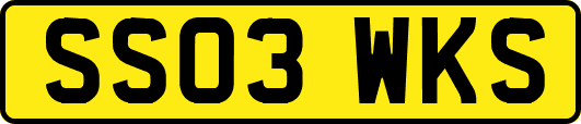 SS03WKS