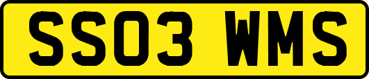 SS03WMS