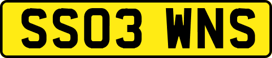 SS03WNS