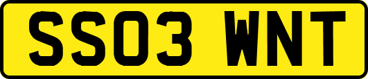 SS03WNT