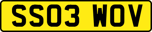 SS03WOV