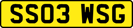 SS03WSG