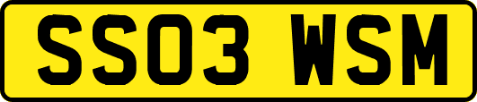 SS03WSM