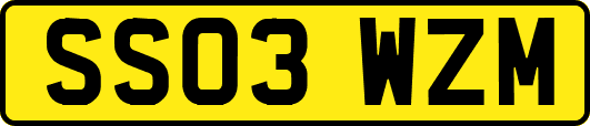 SS03WZM