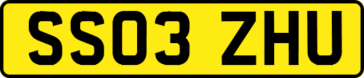 SS03ZHU
