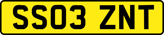 SS03ZNT
