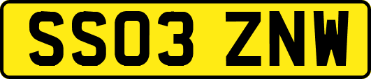 SS03ZNW