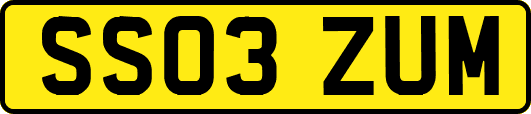 SS03ZUM