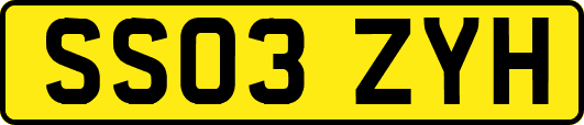 SS03ZYH