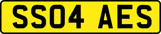 SS04AES