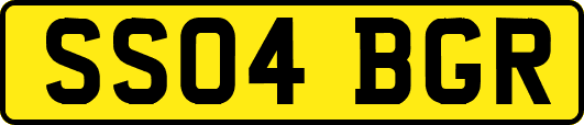 SS04BGR