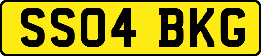 SS04BKG