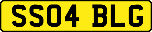 SS04BLG