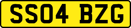 SS04BZG