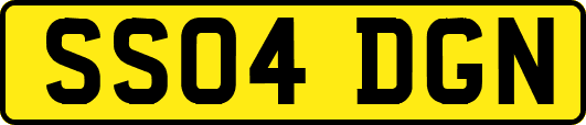 SS04DGN