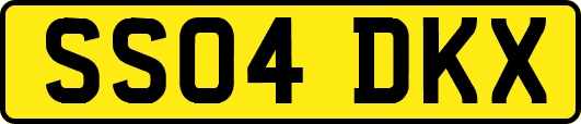 SS04DKX