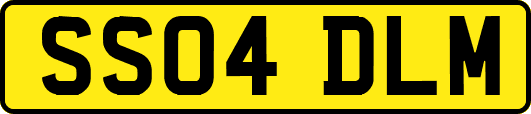 SS04DLM