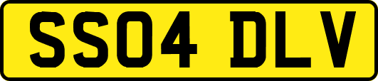 SS04DLV