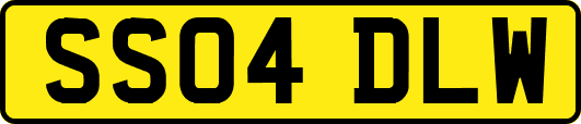 SS04DLW