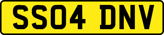 SS04DNV