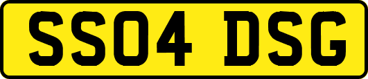 SS04DSG