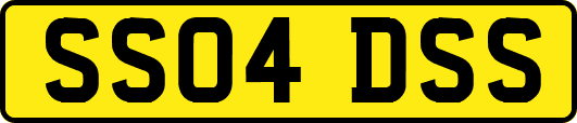 SS04DSS