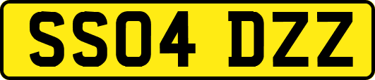SS04DZZ