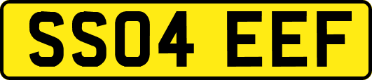 SS04EEF