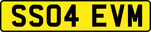 SS04EVM