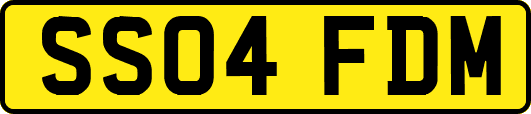 SS04FDM