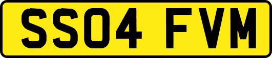 SS04FVM