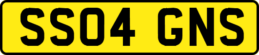SS04GNS
