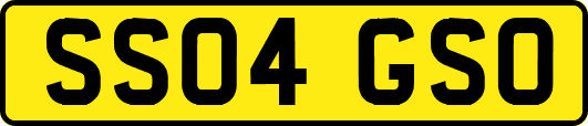 SS04GSO