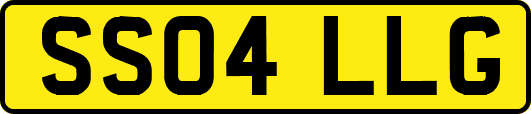 SS04LLG