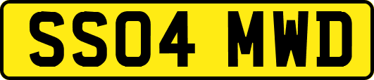 SS04MWD
