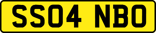 SS04NBO