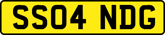 SS04NDG