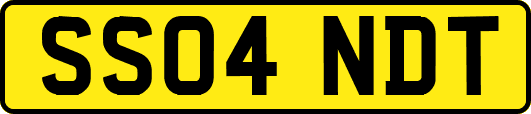 SS04NDT