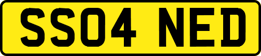SS04NED