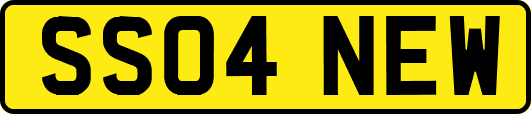 SS04NEW