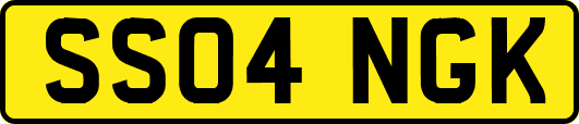 SS04NGK