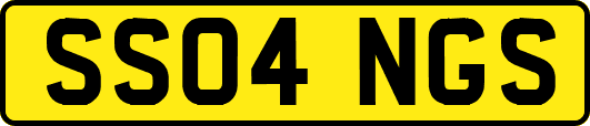 SS04NGS