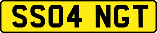 SS04NGT