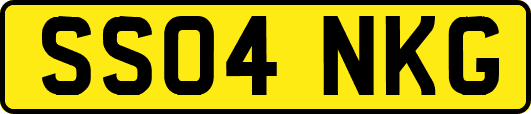 SS04NKG