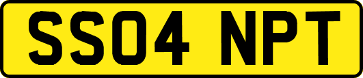 SS04NPT