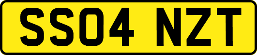 SS04NZT